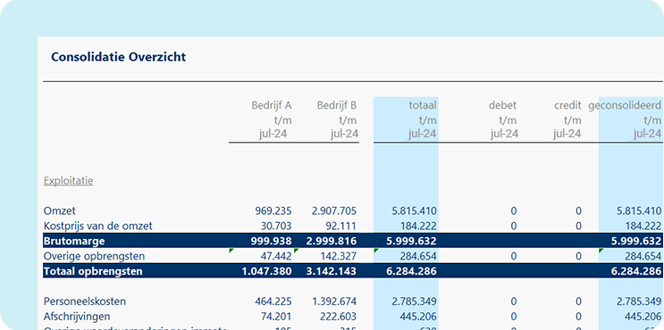 Consolidatierapport in Excel