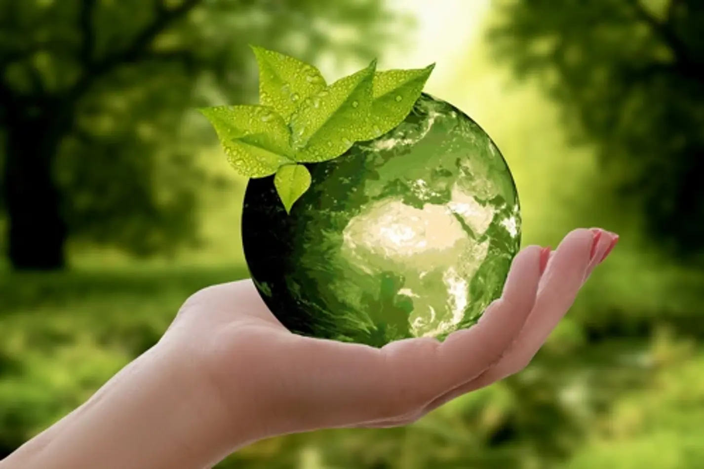 Duurzame Wereld